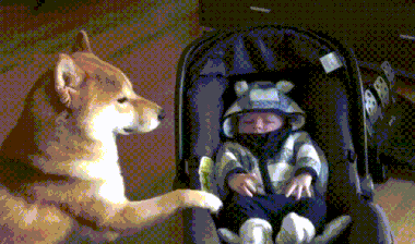 Biztos, hogy illik a személyiségtípusodhoz a munkád? Nézd meg mi passzolna hozzád