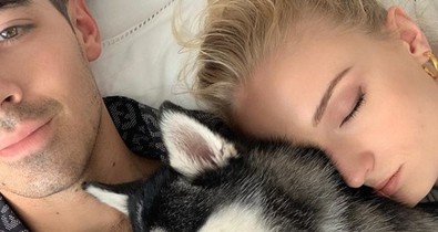 Sophie Turner és Joe Jonas kutyája volt a legjobban öltözött az esküvőjükön