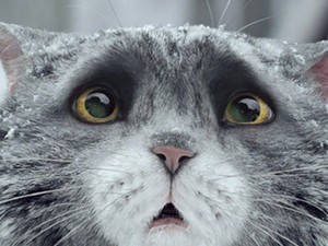 Ez 2015 legmeghatóbb karácsonyi filmje