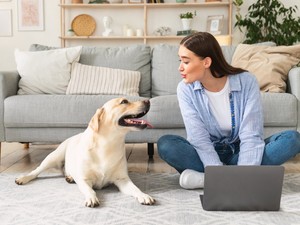 Mutasd a személyiséged - megmondjuk, milyen állat illik hozzád!