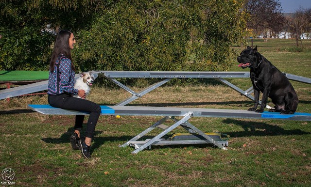 Sikkesen állt fontos ügy mellé Boggie