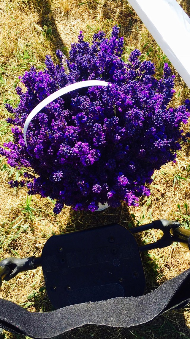 Egy hely, ahova idén MUSZÁJ ellátogatnod