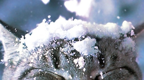 Újra téliesre fordul az idő! Havazásra és havas esőre kell számítani