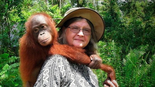 Ezért boldogabbak az orángutánok, mint mi – és ezt tanulhatjuk tőlük