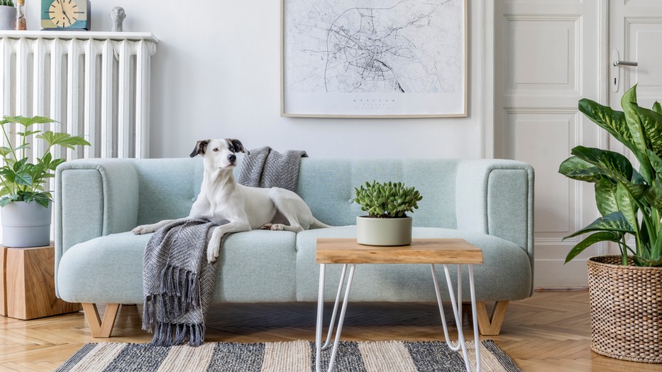 Van néhány praktikus kérdés, amit érdemes feltenni, mielőtt megvásárolnád álmaid otthonát