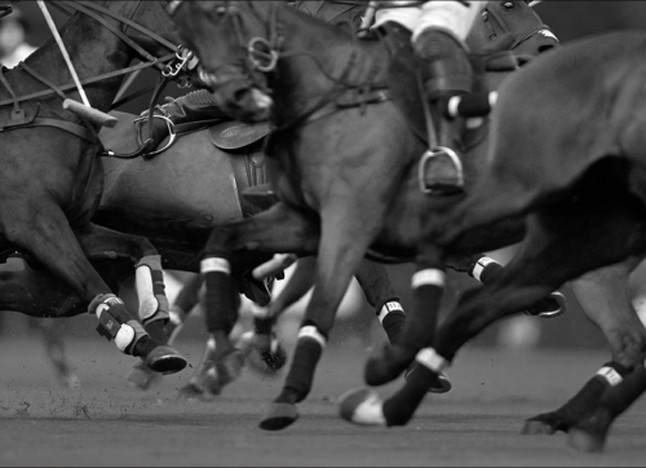 Történelem, sport, divat - Ilyen a La Martina