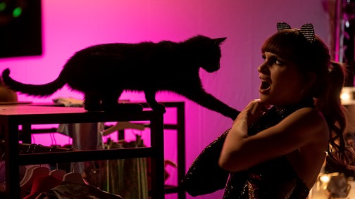 Kemény Zsófi a Cicaverzum kapcsán: Ha egy nárcisztikus csapdát állít nekem, menekülök