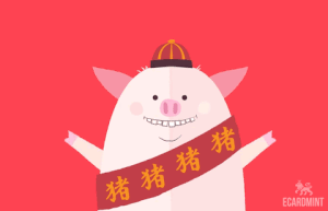 Változás, új lehetőségek - Minden, amit tudnod kell a DISZNÓ évéről