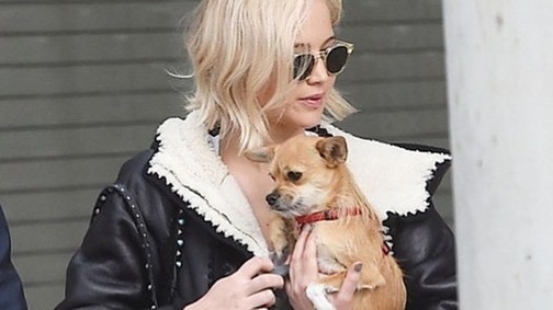 Ilyen lazán taxizik Jennifer Lawrence és kutyusa!