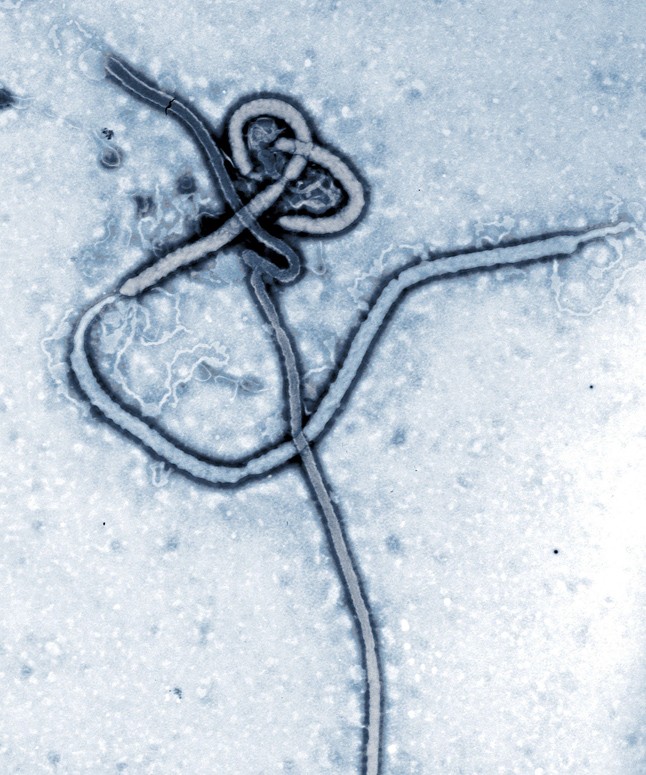 Meddig terjed az Ebola?