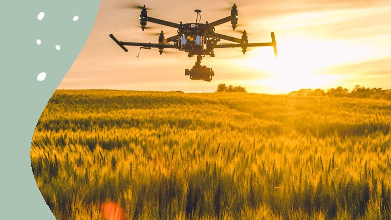 Így lesz az adatokból kézzelfogható társadalmi-gazdasági haszon: éghajlati szolgáltatások