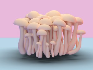 Stella McCartney: „A gombák változtatják meg a divatipart”