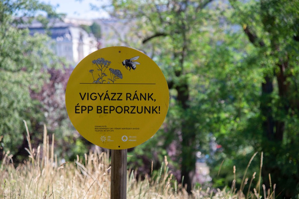 vadvirágos budapest glamour
