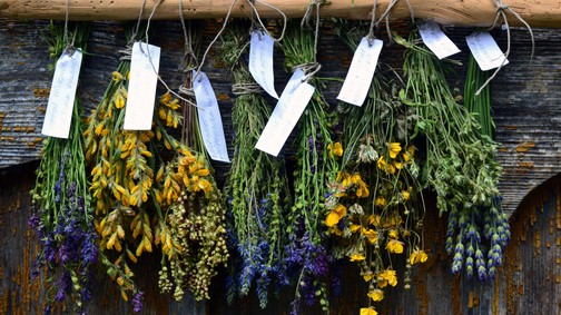 A szárított gyógynövények értékesebbek, mint hinnéd - így hasznosíthatod őket