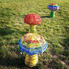 A gombák mutatját majd az utat.