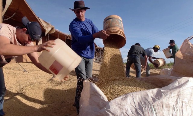 10 kihagyhatatlan program novemberben!