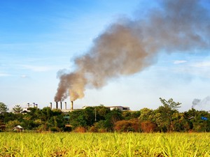 Így lehet energiatakarékos az életmódod