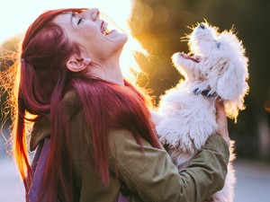 Akár a kutyád életébe is kerülhet ez a betegség, ami az ünnepek alatt alakulhat ki a legkönnyebben