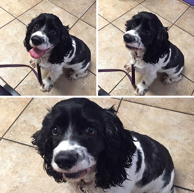 Teljes kétségbeesés