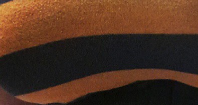 Horror fogyás: terjed a fűződiéta