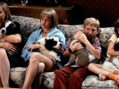 A pszichológus is megerősítette: így hat a mentális egészségedre a  kisállatod