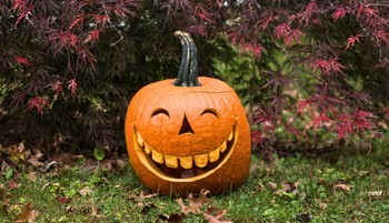 Az ősz gyarmatosítása: hogyan hódította meg a világot a pumpkin spice?