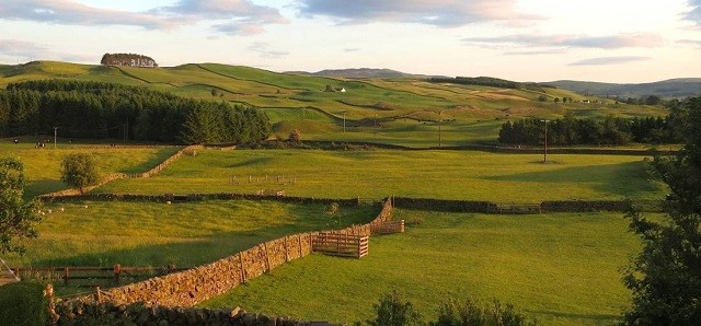 A skót Lowland-régióban készített whisky sajátosságai