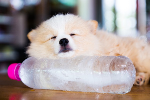 Ezeket a kánikula biztos cuccokat be kell szerezned, hogy túléld a hőséget