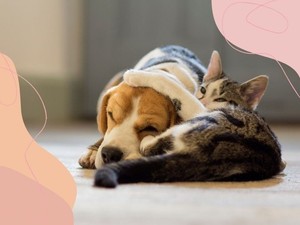 Nagyobb probléma, mint gondolnád, ha nem alszol jól a párod mellett: ezt teheted