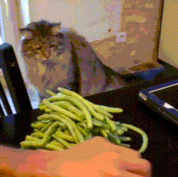 A legfontosabb ma, figyelj oda az étkezésre - Egymondatos horoszkóp: Augusztus 23.