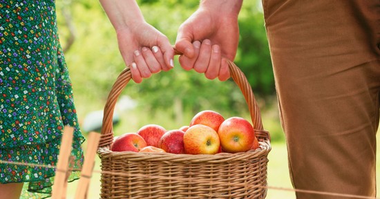Ha ezeket a gyümölcsfákat elülteted, még a dédunokáid is enni fognak róla