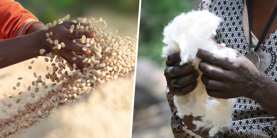 P133 thibo PR campany GLAMOUR 2000x1000 2