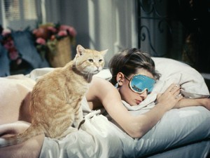 Ezek a leggyakoribb álmok - elmondjuk, mi a jelentésük 