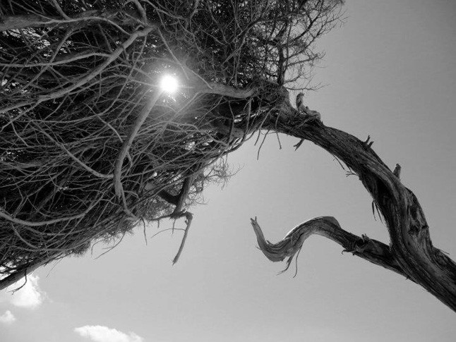 Ibiza - Egy kollekció születése