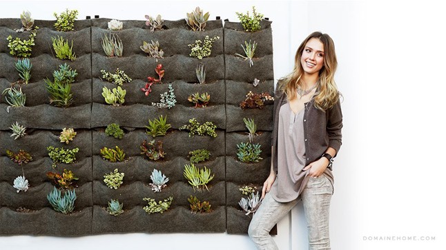 Elviszünk Jessica Albáékhoz