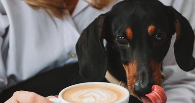 Alig egy éve nyílt, de már most Budapest egyik leghangulatosabb étterme ez a kis ékszerdoboz