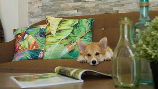 Én és a bútoraim - avagy vásároljunk-e online bútort?