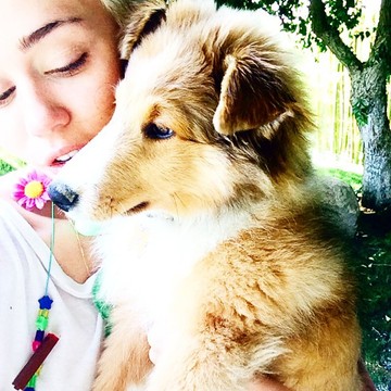 Miley és Emu teljesen elválaszthatatlanok.