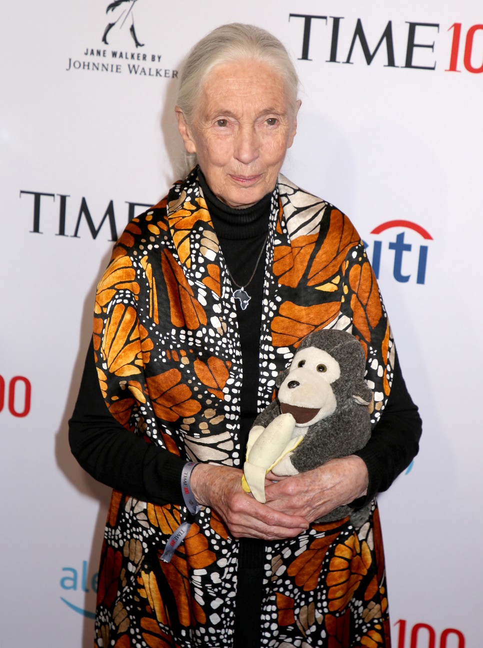 Jane Goodall szokásos kiegészítője volt a plüss csimpánz - addig, amíg épp nem az igaziak között volt