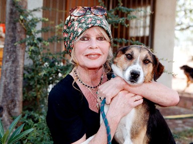 Brigitte Bardot megtörte a csendet: így reagált a 91 éves színésznő a futótűzként terjedő halálhírére