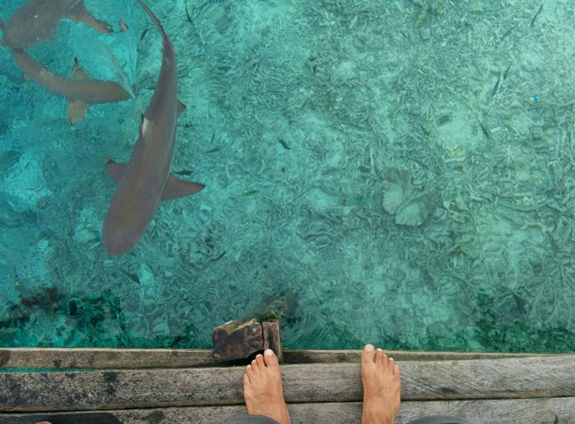 ˝Nem csak egy pillanatnyi kiszakadást jelentett a hétköznapokból, hanem egy ideig magát az életemet˝- Plankó Gergő körbeutazta Kelet-Ázsiát, és egy kicsit mesélt róla