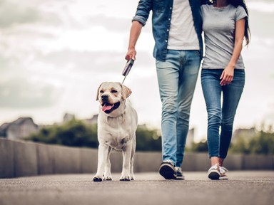 Fogyás sétával? Ezzel a trükkel lehetséges