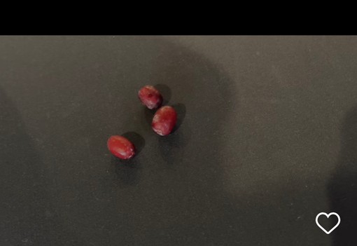 Matthew Perry halála előtt segítséget kért, de senki nem vette észre