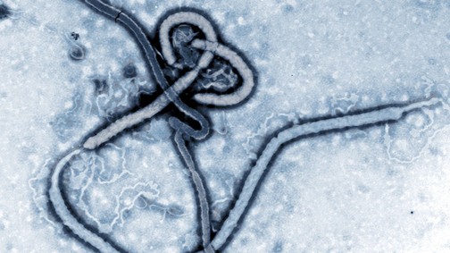 Meddig terjed az Ebola?