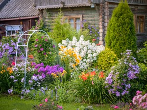 Felejtsd el a muskátlit! 2026-ban ezek a növények lesznek a kertek legszebb díszei