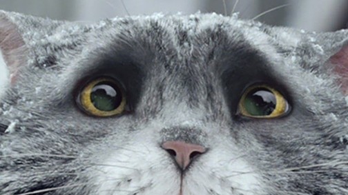 Ez 2015 legmeghatóbb karácsonyi filmje