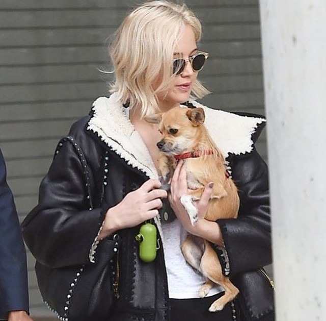 Ilyen lazán taxizik Jennifer Lawrence és kutyusa!