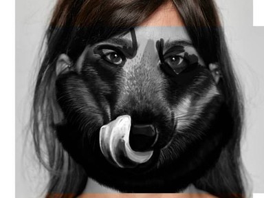 Bemutatjuk a Hajduanett márkát