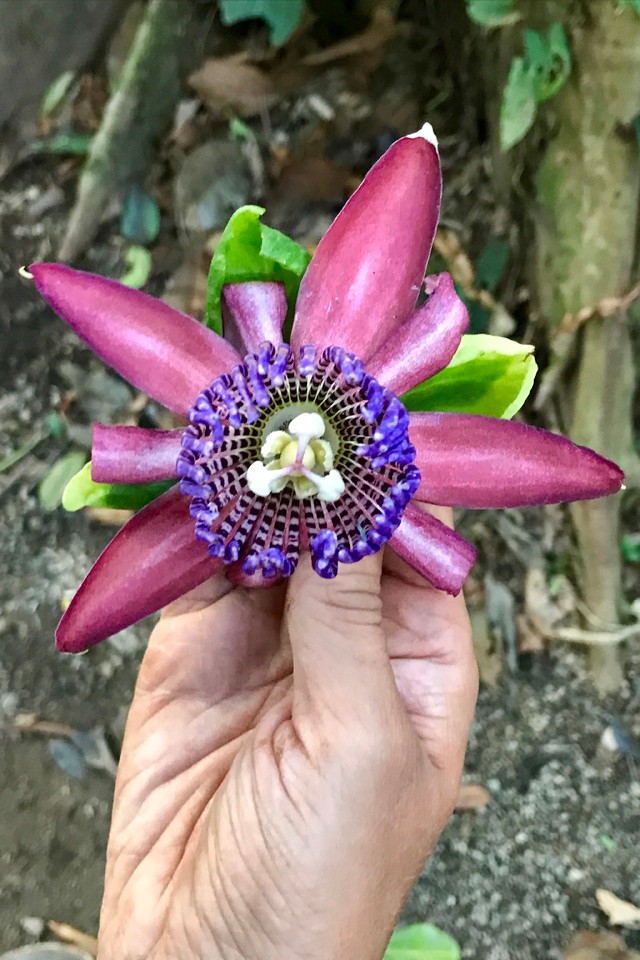 Így befolyásolják a hangulatodat a színek