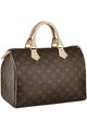 LOUIS VUITTON SPEEDY